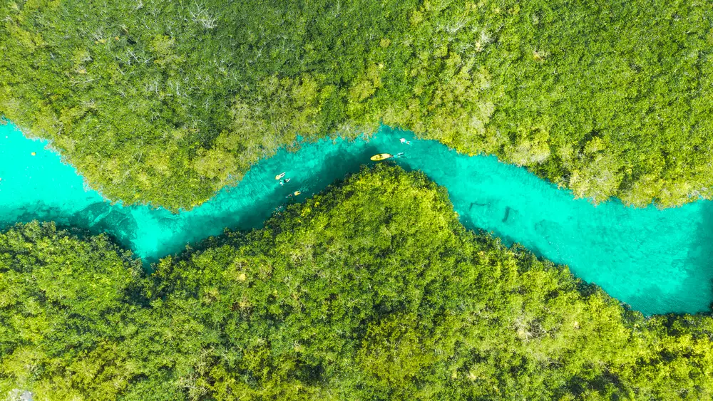 Jukatan Cenotes slika reke v Mehiki