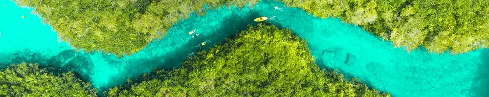 Jukatan Cenotes slika reke v Mehiki